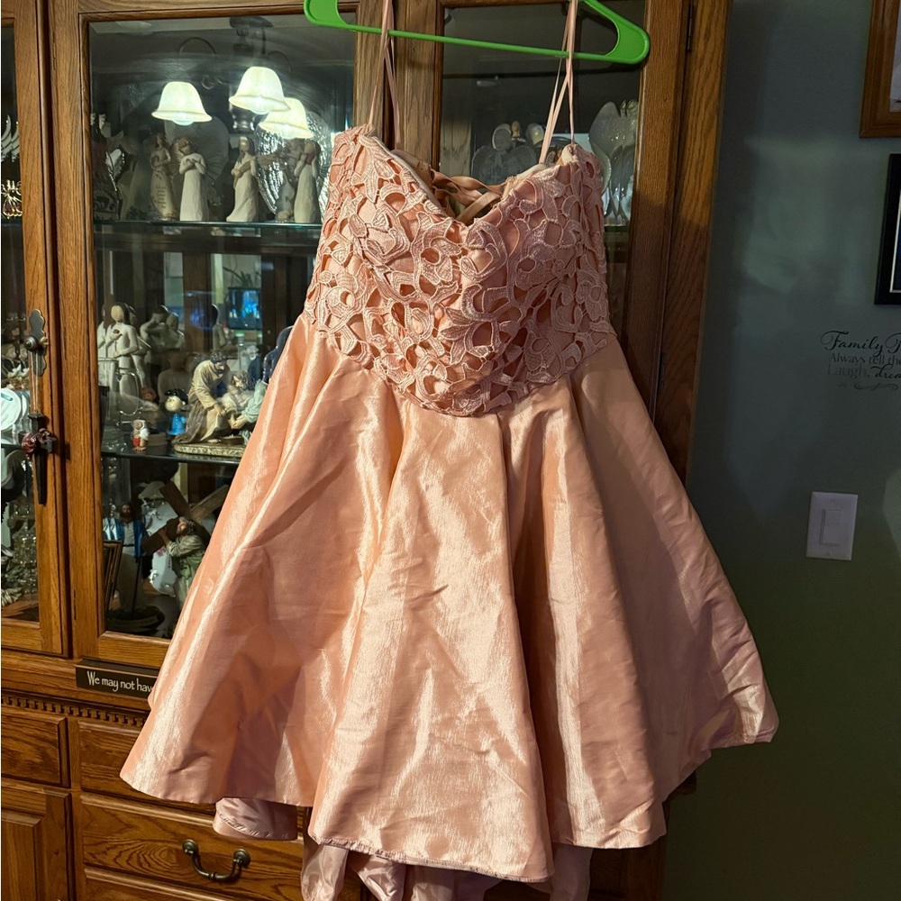 Elegant Pink Lace Dress